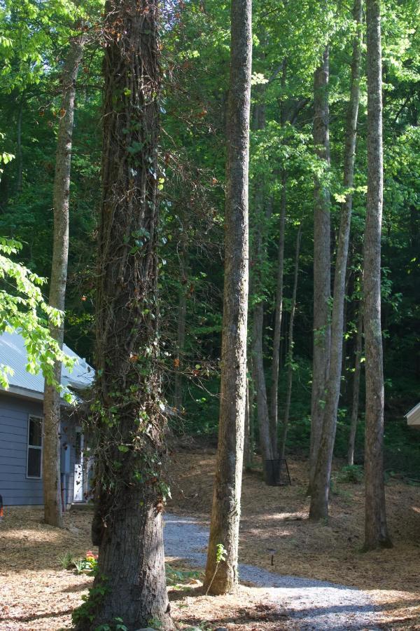 Villas At Gingershack Farms エリジェイ エクステリア 写真